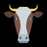 Desi Cow Sourced